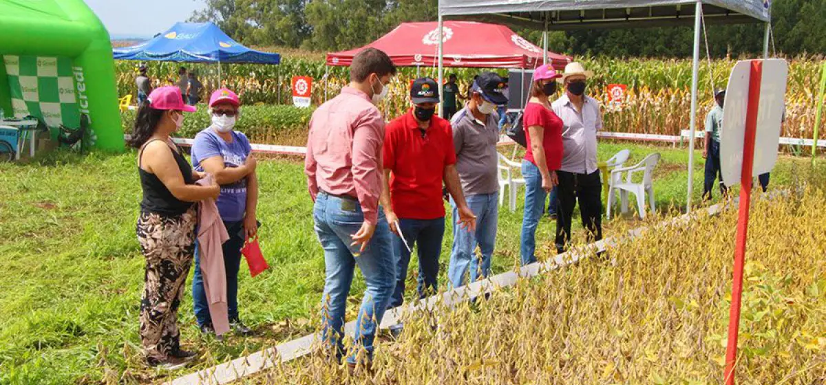Dia de Campo Agrovet